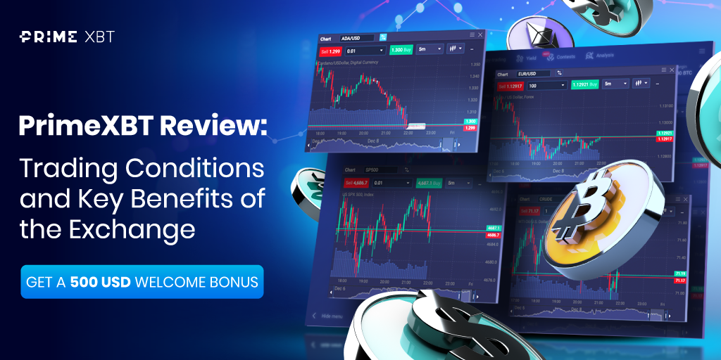 Meet the PrimeXBT Team Innovators in the Crypto Trading Space Meet the PrimeXBT Team Innovators in the Crypto Trading Space